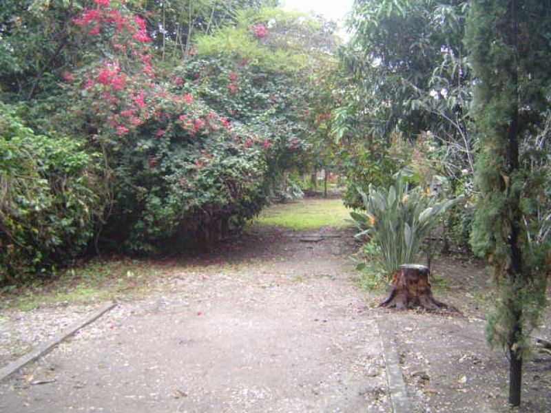 Terrenos en Jonacatepec