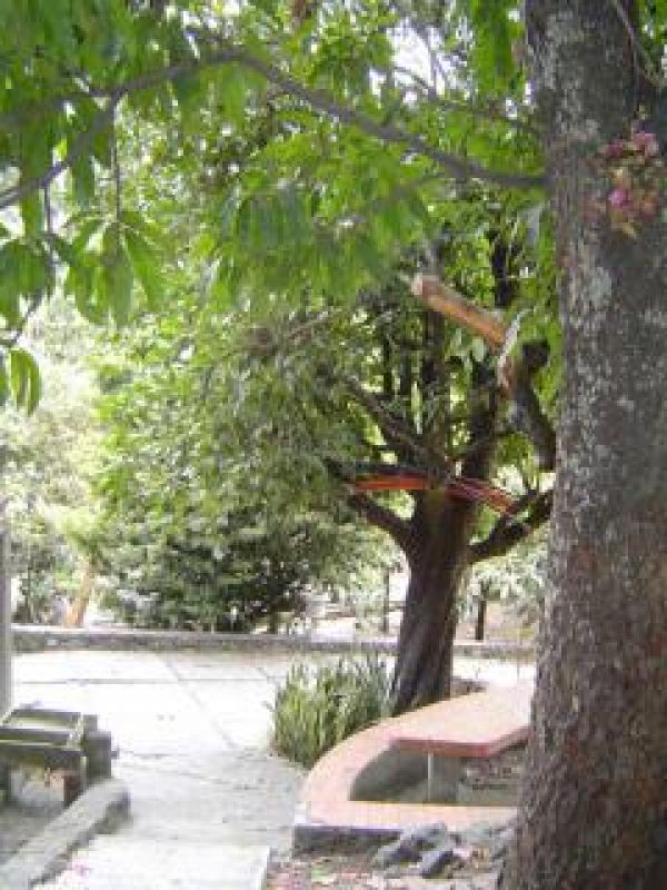{"esp":"ANDADOR PARA LA CASA"}