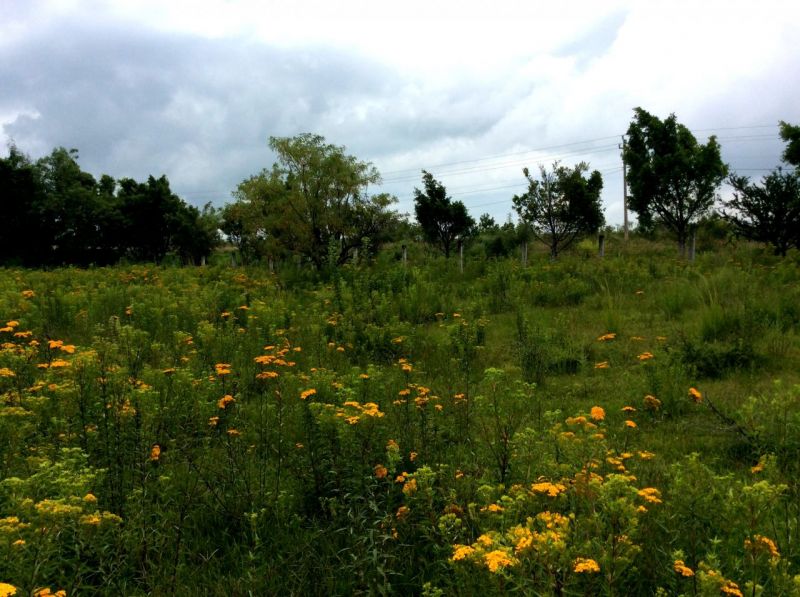 Terrenos en Mexquemeca