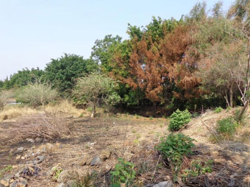 []