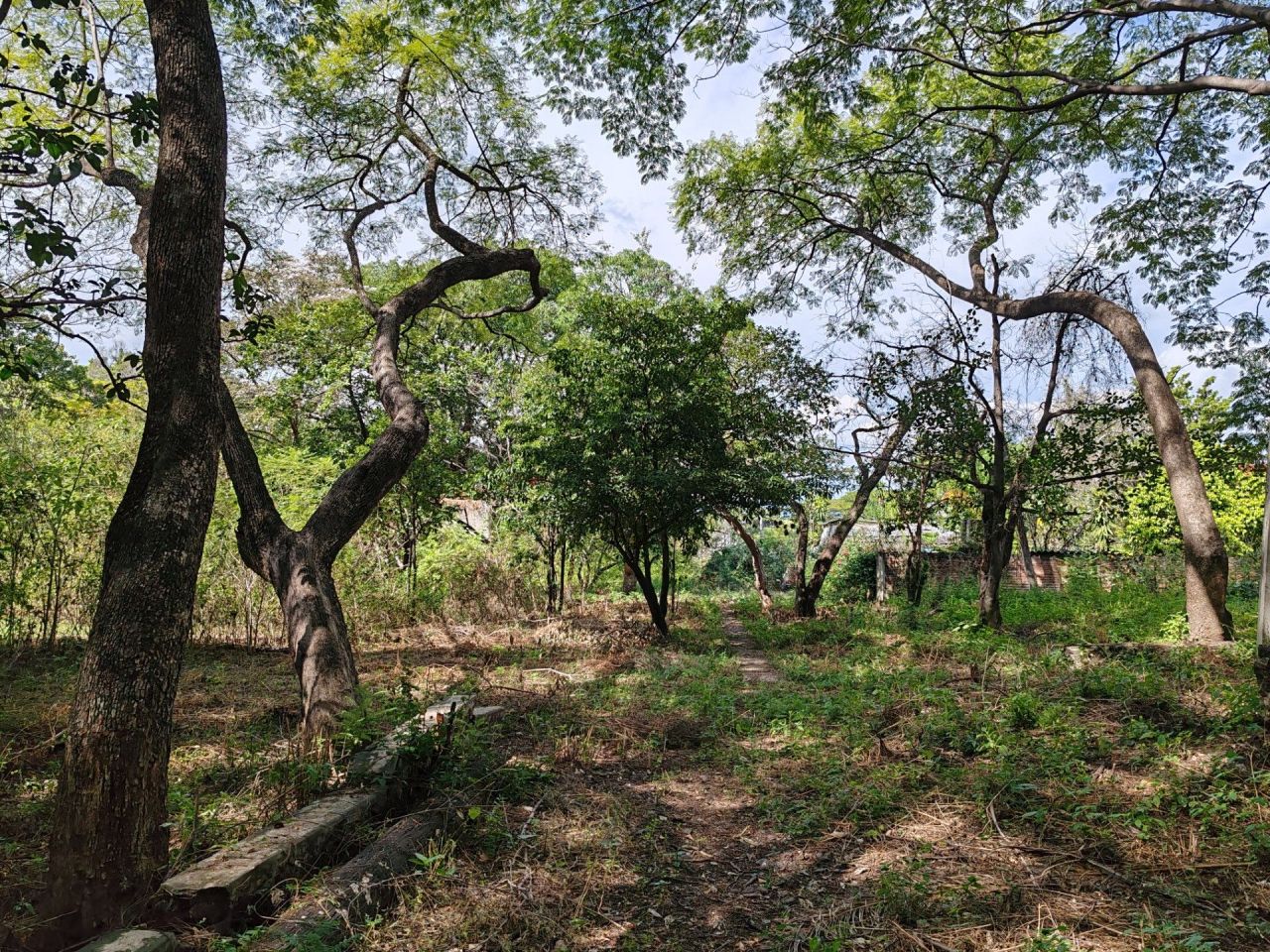 Terreno en Venta, escriturado