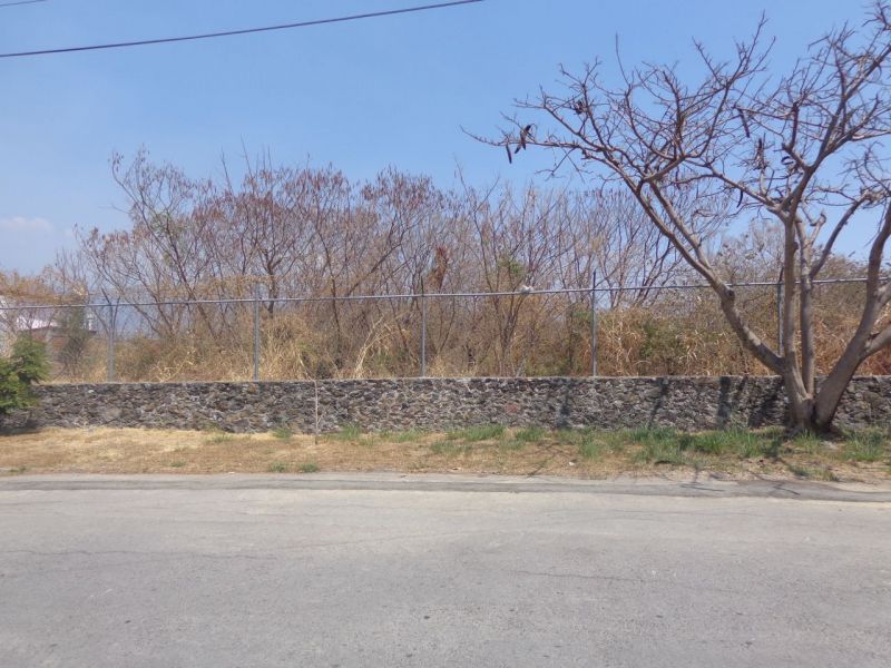 Terrenos en Tamoanchan