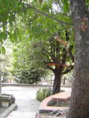 {"esp":"ANDADOR PARA LA CASA"}