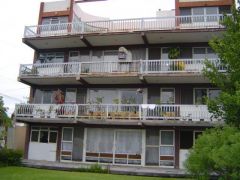 {"esp":"Vista del jard\u00c3\u00adn al edificio"}