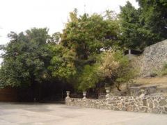 {"esp":"BARDAS DE PIEDRA"}